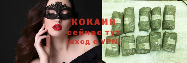 бошки Бородино