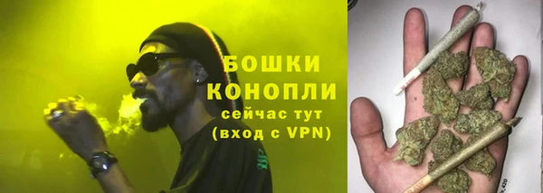 прущие грибы Богородск