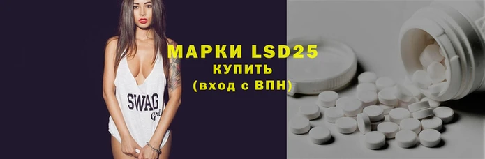 прущие грибы Богородск