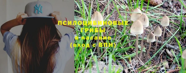 винт Бронницы