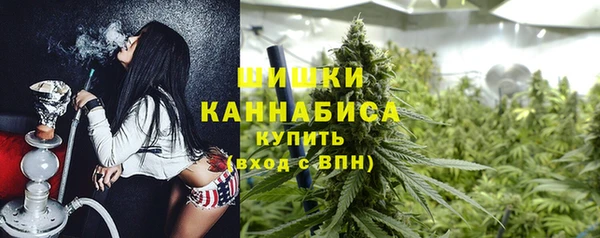винт Бронницы