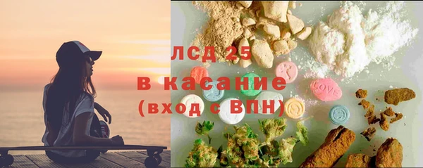 прущие грибы Богородск