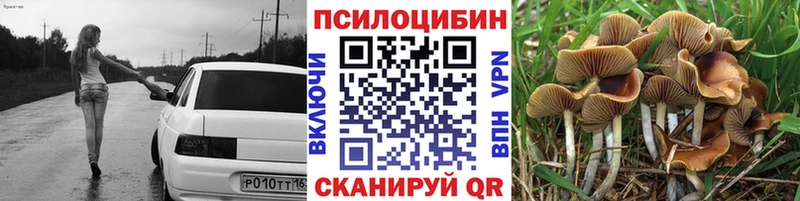 Псилоцибиновые грибы GOLDEN TEACHER  Константиновск 